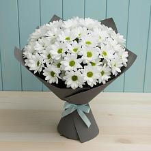 Букет цветов из:  Хризантемы в Вялки