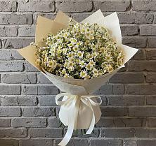 Букет цветов из:  Ромашки #REPLACE_PRED# Вялки