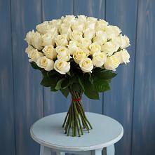 Букет 51 Белая роза Эдлесс Лав в Вялки
