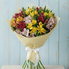 Букет цветов из:  Альстромерии #REPLACE_PRED# Вялки