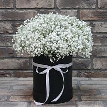 Цветочная композиция из Гипсофила в шляпной коробке #REPLACE_PRED# Вялки