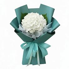 Букет цветов из:  Гортензия #REPLACE_PRED# Вялки